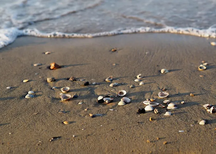 Cozy Two-room Flat 100mt From Apartment *