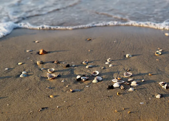 Cozy Two-room Flat 100mt From Lägenhet *